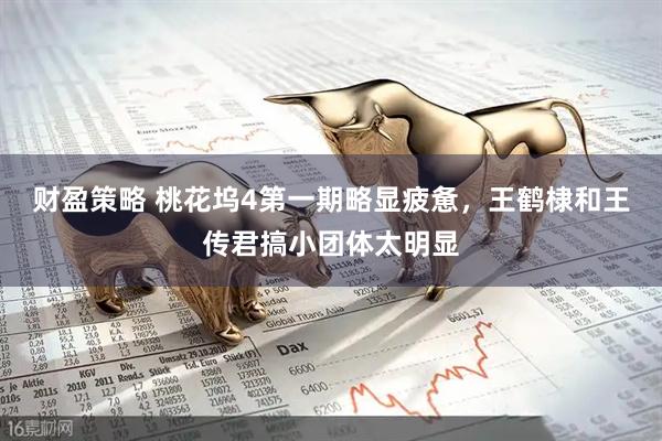 财盈策略 桃花坞4第一期略显疲惫，王鹤棣和王传君搞小团体太明显