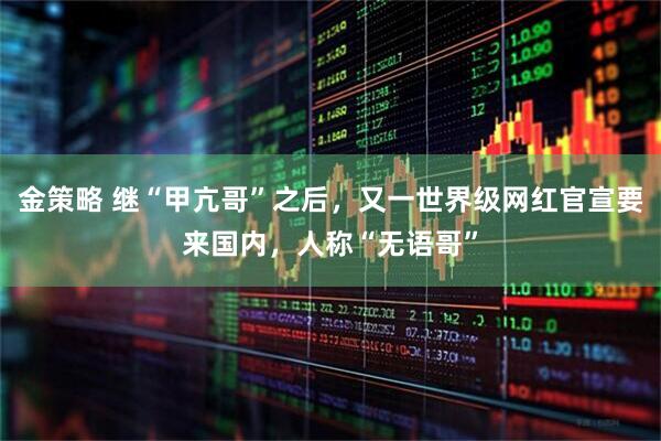 金策略 继“甲亢哥”之后，又一世界级网红官宣要来国内，人称“无语哥”