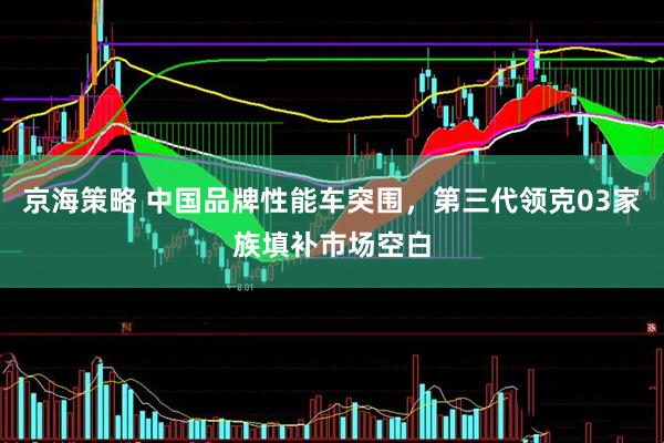 京海策略 中国品牌性能车突围，第三代领克03家族填补市场空白