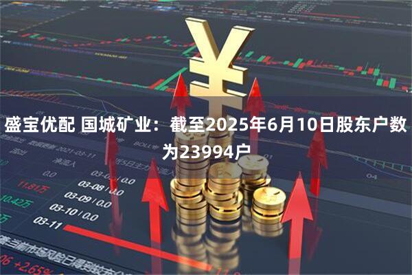 盛宝优配 国城矿业：截至2025年6月10日股东户数为23994户