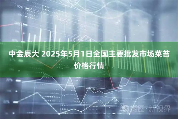 中金辰大 2025年5月1日全国主要批发市场菜苔价格行情