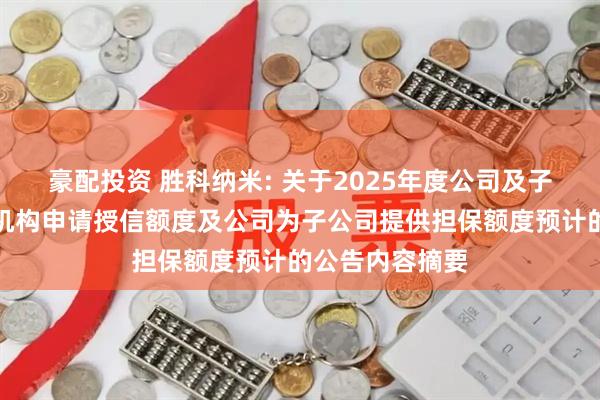 豪配投资 胜科纳米: 关于2025年度公司及子公司拟向金融机构申请授信额度及公司为子公司提供担保额度预计的公告内容摘要