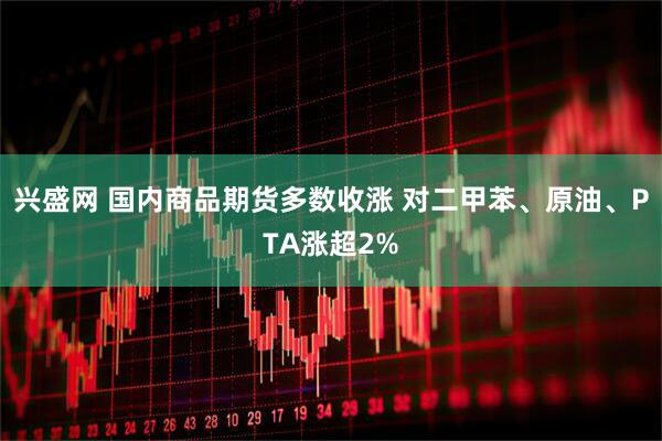 兴盛网 国内商品期货多数收涨 对二甲苯、原油、PTA涨超2%