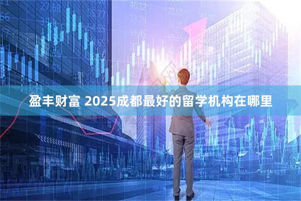 盈丰财富 2025成都最好的留学机构在哪里