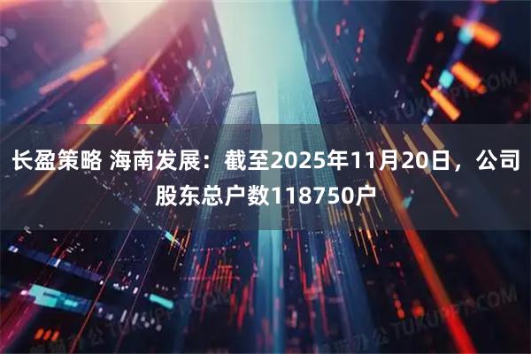 长盈策略 海南发展：截至2025年11月20日，公司股东总户数118750户