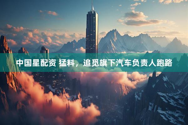 中国星配资 猛料，追觅旗下汽车负责人跑路