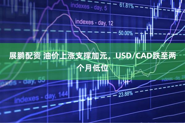 展鹏配资 油价上涨支撑加元，USD/CAD跌至两个月低位