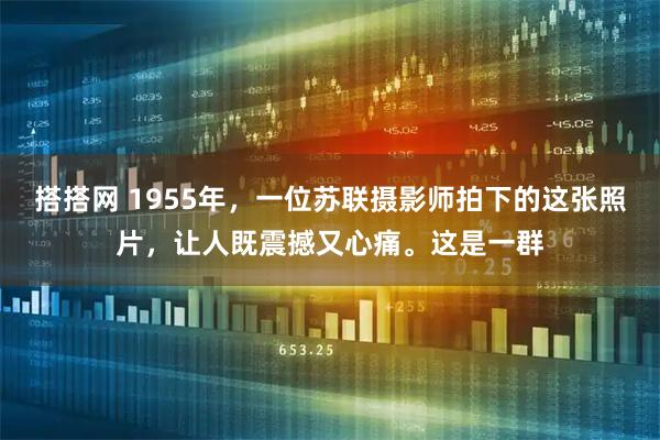 搭搭网 1955年，一位苏联摄影师拍下的这张照片，让人既震撼又心痛。这是一群