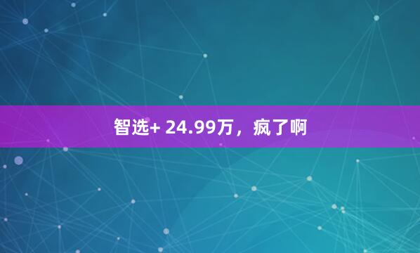 智选+ 24.99万，疯了啊